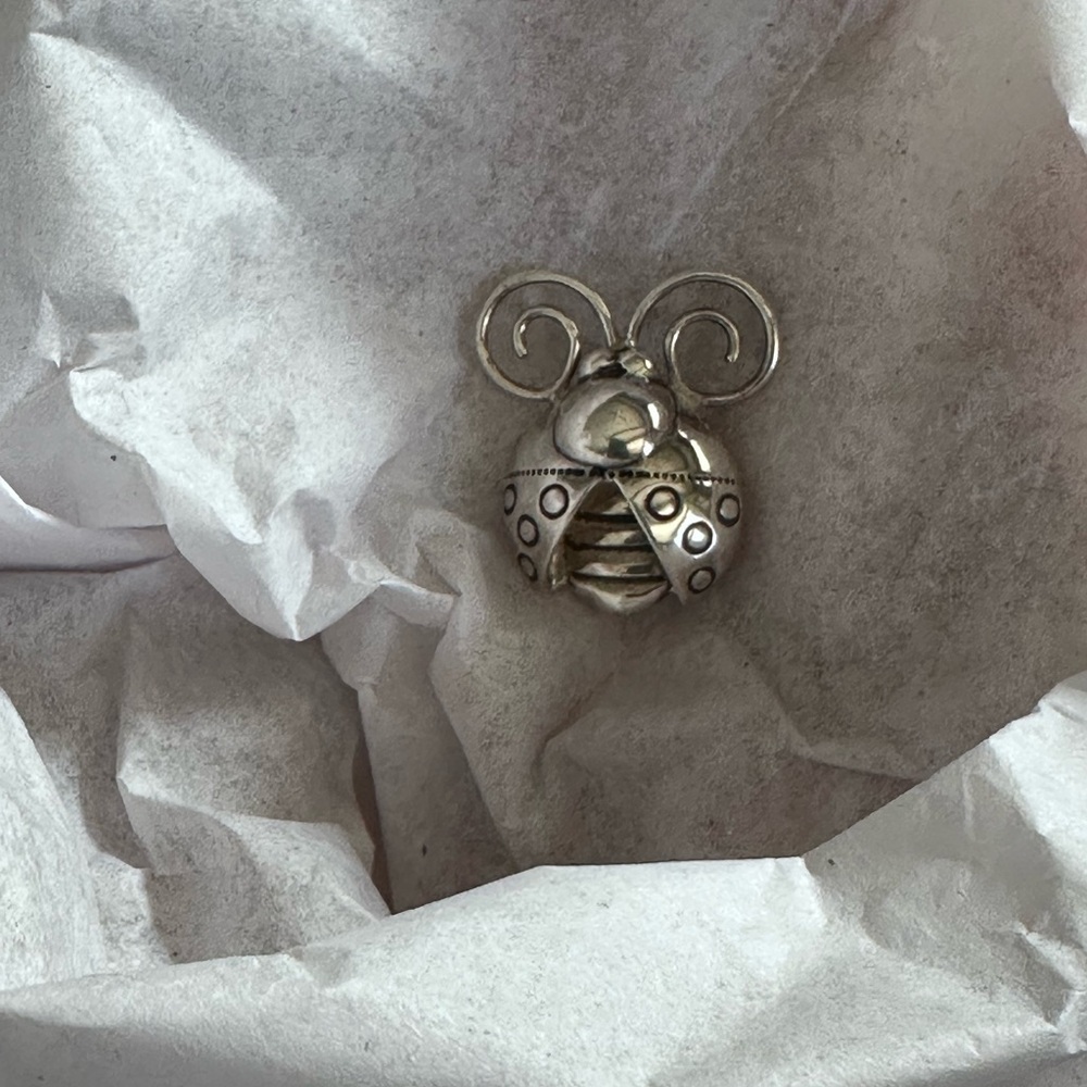 Engraved .925 silver lady bug brooch